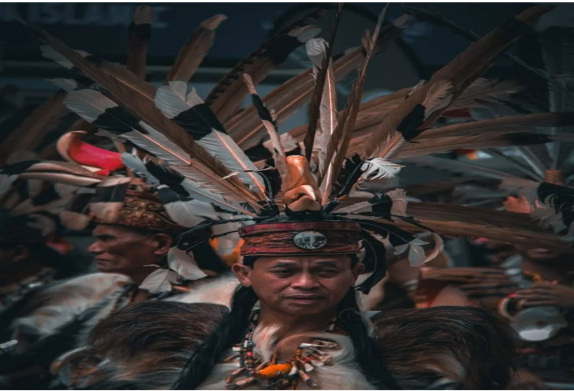 جشن گاوای دایاک